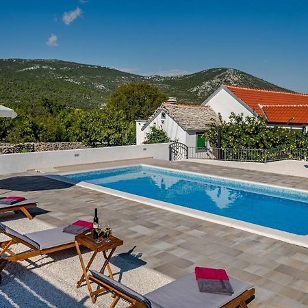 House Camellia With Fenced Pool And Playground Villa Blizna Donja Eksteriør bilde