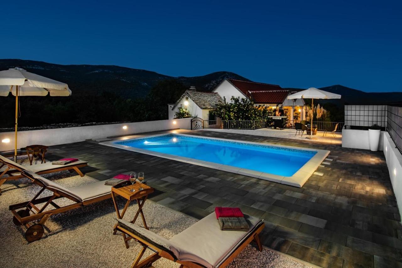 House Camellia With Fenced Pool And Playground Villa Blizna Donja Eksteriør bilde