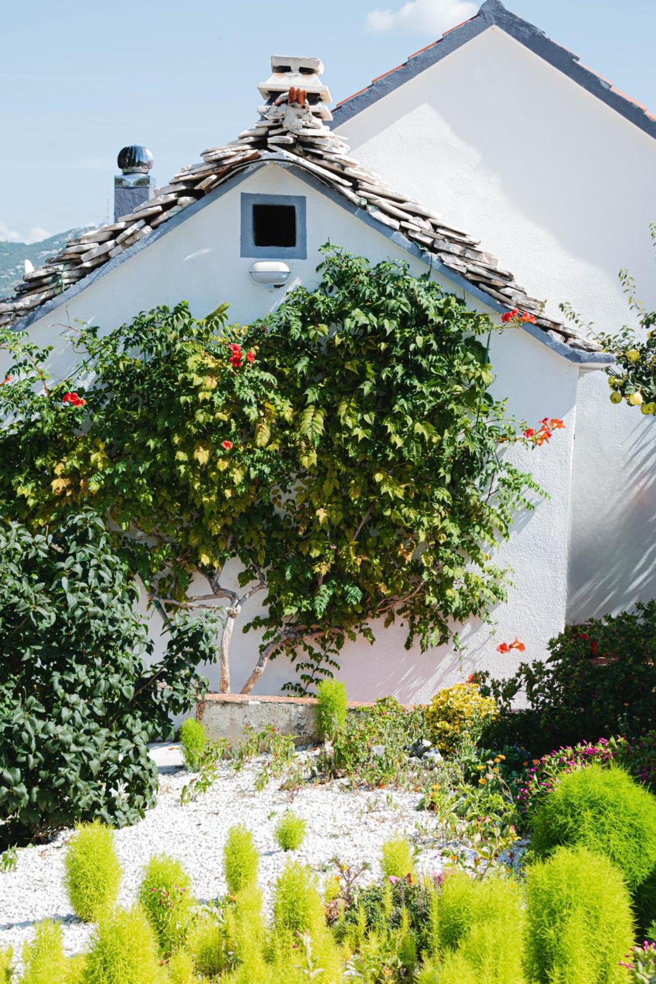 House Camellia With Fenced Pool And Playground Villa Blizna Donja Eksteriør bilde